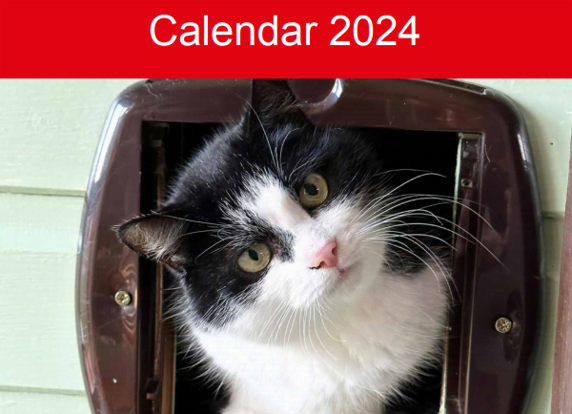 2024 calendar cover