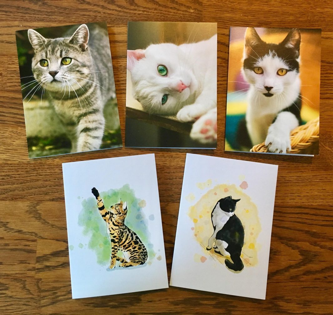 LCR Greetings Cards now available! Lothian Cat Rescue