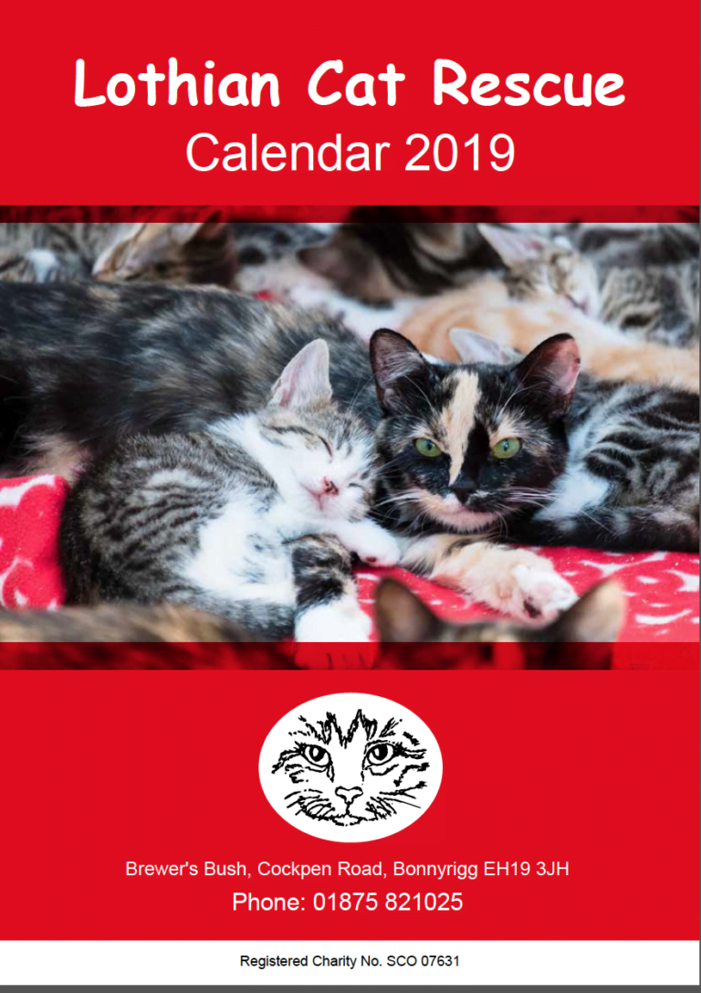 2019 Calendar now available! Lothian Cat Rescue