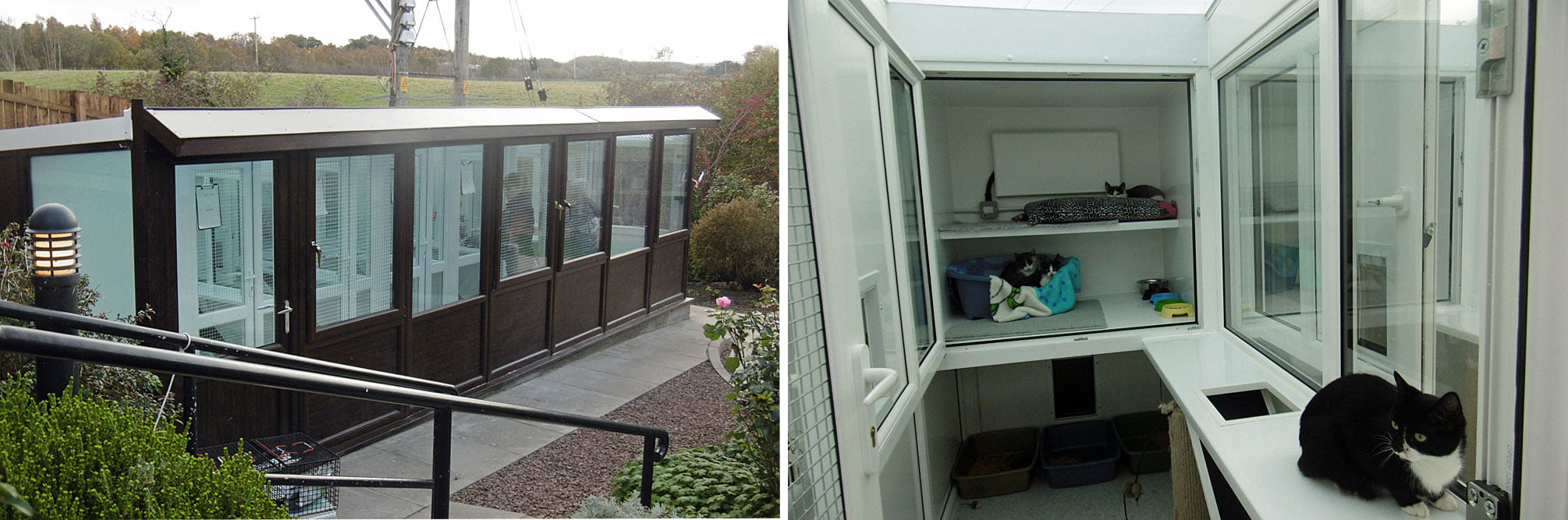 Cat Rescue Pens New-pen-both | Lothian Cat Rescue