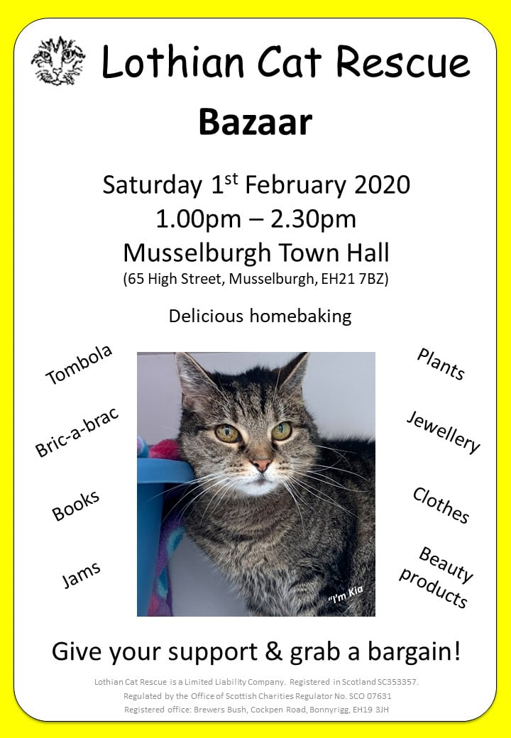 February 2020 Bazaar Lothian Cat Rescue