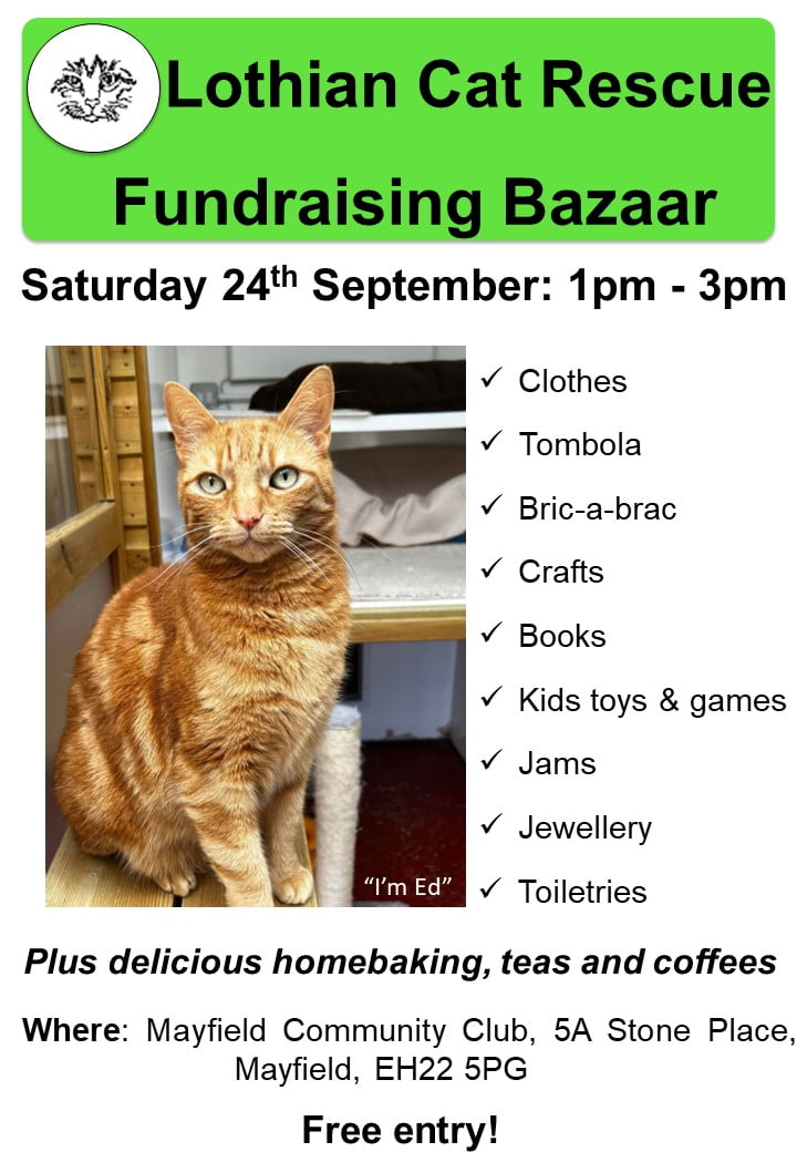 September 2022 Bazaar Lothian Cat Rescue