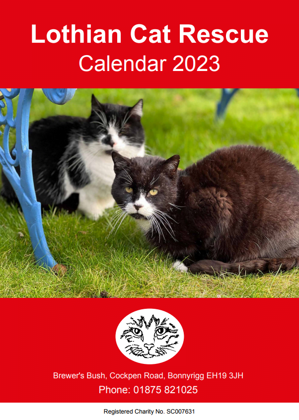 2023 Calendar Cover Lothian Cat Rescue