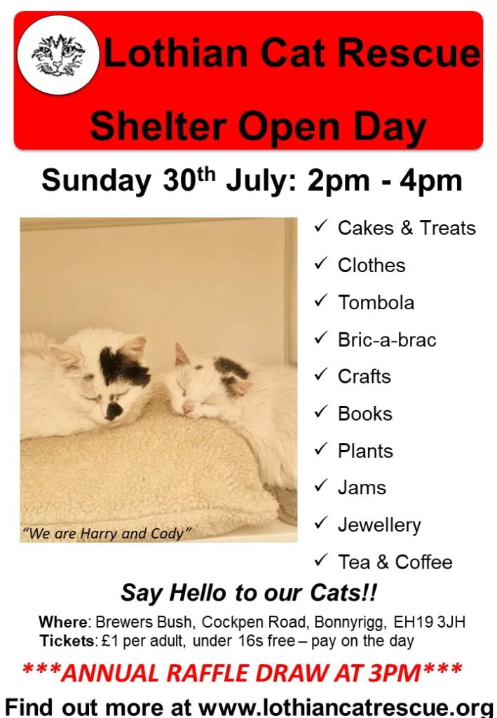 July 2023 Shelter Open Day Lothian Cat Rescue