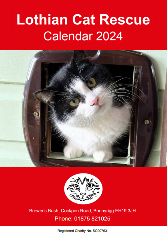 2019 Calendar Lothian Cat Rescue