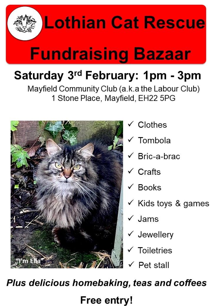 February 2024 Fundraising Bazaar Lothian Cat Rescue